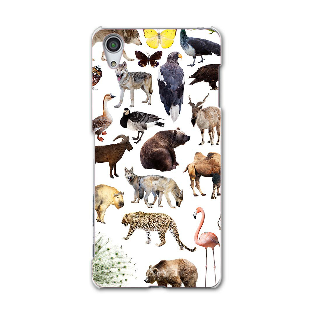 SOV33 Xperia X Performance エクスペリア X パフォーマンス au エーユー スマホ カバー スマホケース ハード pc ケース ハードケース 写真 鳥 ヒョウ 熊 アニマル 008845