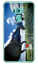 【送料無料】 Dinosaur Design 恐竜デザインシリーズ 「パキケファロサウルス」 (クリア) / for ZenFone 3(5.2インチ) ZE520KL/MVNOスマホ(SIMフリー端末)zenfone 3 ze520kl ケース zenfone 3 ze520kl カバー ze520kl ケース ze520kl