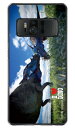 【送料無料】 Dinosaur Design 恐竜デザインシリーズ 「パキケファロサウルス」 (ソフトTPUクリア) / for ZenFone AR ZS571KL/MVNOスマホ(SIMフリー端末)zenfone ar zs571kl ケース zenfone ar zs571kl カバー zenfone ar ケース zenfone ar