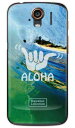 【送料無料】【光沢なし】 HawaiianCollectionシリーズ グリーンルーム (クリア) / for STREAM 201HW/WILLCOM 【平面】【受注生産】【スマホケース】【ハードケース】201hw ケース 201hw カバー stream 201hw ケース stream 201hw カバー ストリーム 201hw ケース