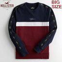 【処分価格】大きいサイズ XL XXL サイズ ホリスター スウェットシャツ メンズ HOLLISTER Co.
