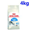 sňlɒtCJi L FHN ChA 4kg Ő鐬Lp ᐳKi LbgChA ChALbg L  hCt[h v~At[h ROYAL CANIN[3182550706933] D  \ 