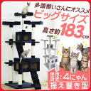 《当店イチオシ★!!》キャットタワー 据え置き ビッグ QQ80038 (高さ：183cm) 送料無料 猫タワー 爪とぎ おしゃれ 置き型 ビッグサイズ 大きめ 多頭飼い ハウス 運動不足 大型 ホワイト ネイビー 【D】