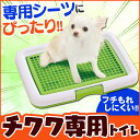 【最大350円OFFクーポン配布中】チワワ用 フチもれしにく...