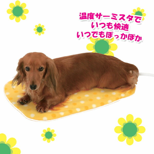 ホットカーペット　PHK-545E[ペット　ベッド　犬用　猫用　アイリスオーヤマ　冬用　ホットマット　ペット用　ペットマット　保温マット　ホットカーペット]5,250円以上のお買い物で全国送料無料！