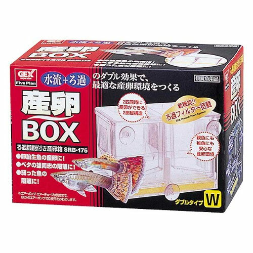 GEX産卵BOX【D】[DA]【e-netshop】