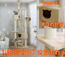 天井突っ張りキャットタワー QQ80037[キャットタワー・キャットランド・猫タワー・猫　タワー]税抜4,000円以上で送料無料！