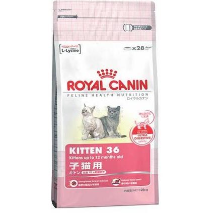 【21％OFF！】【ロイヤルカナン】　キトン36　2Kg 【D】【DC】【AA】[ロイヤルカナン　猫用　キャットフード　ネコ　激安]【e-netshop】