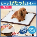 【15日4Hポイント5倍!最大11倍★20時〜】シーツぴたっ...