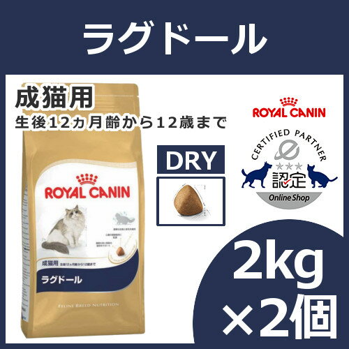 yő1,000~N[|52܂ŁIzCJi L FBN Oh[ Lp 2kg~2Zbg ᐳKi L t[h Lbgt[h v~At[h hC A_g Lp royal canin Lbgh yV [3182550825351]yDz