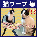 【最大350円OFFクーポン有】【在庫処分】猫ワープ 猫転送...