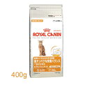 【20％OFF！】ロイヤルカナンエクシジェント42コウタンパク400g[AA]【D】[ロイヤルカナン　猫用　キャットフード　ネコ　激安]【e-netshop】