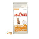 【20％OFF！】ロイヤルカナンエクシジェント42コウタンパク　2kg[AA]【D】[ロイヤルカナン　猫用　キャットフード　ネコ　激安]【e-netshop】