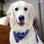 【28日エントリーでポイント2倍】犬と生活 首輪に付けるバンダナ ペイズリー L レッド ネイビー グリーン ≪代金引換不可≫ 送料無料 犬 バンダナ 首輪 ペット用バンダナ おしゃれ かわいい ギンガムチェック チーフタイプ 【TC】【B】【メール便】