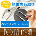 愛犬・愛猫歯石取りペンチとスケラーセット 犬 口臭 歯磨き デンタルケア 歯石取りペット用品 歯石除去 犬の歯石とり 器具 犬歯石 トリミング用品 犬の歯石取りグッズ スケーラー グッズ 犬用品 猫用品 家庭 自宅 ねこ用品