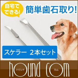 愛犬（猫）用スケラー 先細&平型セット 歯磨き デンタルケア 歯石取り 歯垢や歯石除去 送…...:catfood:10017687