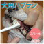 NEW!犬口ケア 歯ブラシ スモールヘッド【犬 デンタル 犬用歯磨き】犬用ハブラシ 小型犬はみがき 犬口ケア 犬用 デンタルケア 犬用歯ブラシ 犬の歯磨き オーラルケア トイプードル チワワ ペット用品 ペットグッズ
