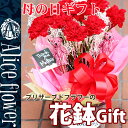 送料無料 新品 母の日 ギフト プリザーブドフラワー カーネーション 花鉢 アレンジ 花 プリザ プレゼント ギフト ブリザーブド アレンジ 花 お誕生日 お祝い 結婚祝い 結婚記念日 正規品