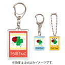 お名前キーホルダー 3個セット クローバーとてんとう虫【代引不可 送料無料 クロネコDM便】 (名札 ネームプレート 子供 幼児 小学生 幼稚園 女の子 入学祝い)