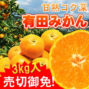 1万箱突破記念！※3箱以上で送料無料です。12月上〜下旬頃の間で順次発送予定となります。ありだみかん ありたみかん 蜜柑 訳有り 特産品 旬の果物和歌山県産 有田みかん ありだみかん ありたみかん 蜜柑 訳有り 特産品 旬の果物