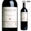 【訳あり】アマンカヤ グラン レセルヴァ 2011 ドメーヌ バロン ド ロートシルト(ラフィット) & ニコラス カテナ カベルネ ソーヴィニヨン / マルベック 貴重なバックヴィンテージ! アルゼンチン 赤ワイン 辛口 レセルバ