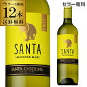 サンタ バイ サンタ カロリーナ ソーヴィニヨン ブラン/シャルドネ 白ワイン 750ml 12本 ケース RSL