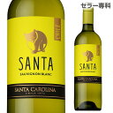 サンタ バイ サンタ カロリーナ ソーヴィニヨン ブラン長S