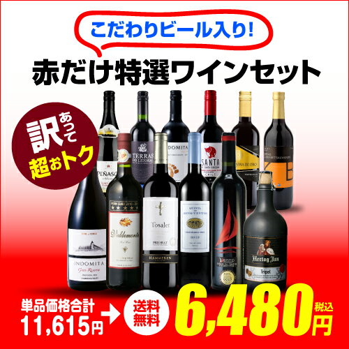 【訳ありセット】オランダビール入り！赤だけ特選ワインセット【送料無料】単品購入よりも4,000円以上オトク