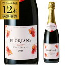 1本あたり880円(税別)!38フロリアーヌ ガメイ 750ml×12本 スパークリングワイン 2018 ヌーボー ヌーヴォー 長S