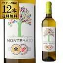 【10%OFF】送料無料 モンテ バホ アイレン 750ml 12本入ケース スペイン 白ワイン 長S