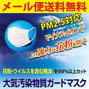【メール便送料無料】ERA MASK 5枚入り P