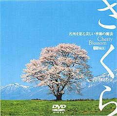 さくら(DVD)【趣味・教養 DVD】