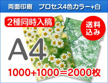 A4クリアファイル印刷1000枚+1000枚=2000枚 A4クリアファイル印刷1000枚+1000枚=2000枚
