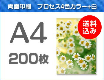 A4クリアファイル印刷200枚(単価117.5円) A4クリアファイル印刷200枚(単価117.5円)