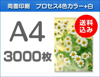 A4クリアファイル印刷3000枚 A4クリアファイル印刷3000枚
