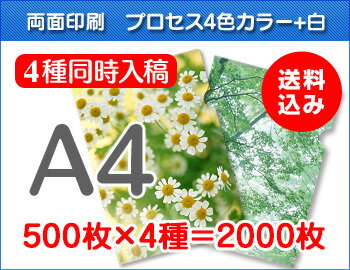 A4クリアファイル印刷500枚×4種=2000枚 A4クリアファイル印刷500枚×4種=2000枚