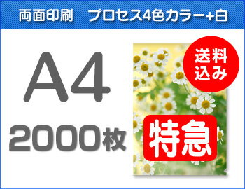 【特急便】A4クリアファイル2000枚(単価40円) 【特急便】A4クリアファイル2000枚(単価40円)
