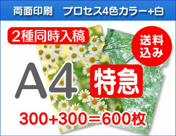 【特急便】A4クリアファイル300枚+300枚=600枚 【特急便】A4クリアファイル300枚+300枚=600枚