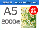A5クリアファイル印刷2000枚(単価29.5円)