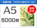 A5クリアファイル印刷5000枚(単価17.9円)