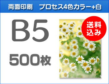 B5クリアファイル印刷500枚（単価105円）