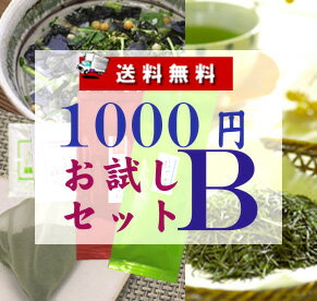 ★送料無料★いろいろ入って1000円！！お試しセットB