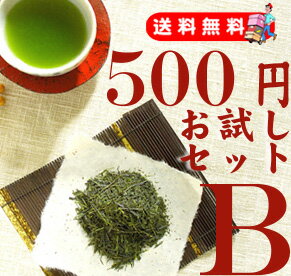 ★送料無料★500円コミコミ！！お試しセットB