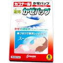 鼻づまりで息苦しいときにカコナール かぜパップ 6枚入(14cmX9cm)
