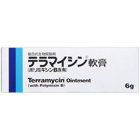 ☆5000円お買上げで【送料無料】テラマイシン軟膏（ポリミキシンB含有）6g【第2類医薬品】