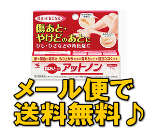 ☆5000円お買上げで【送料無料】【メール便で送料無料】アットノン 15g【第2類医薬品】【傷あと改善】【傷あと薬】