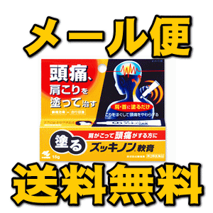 ☆5000円お買上げで【送料無料】【メール便で送料無料】塗るズッキノンa軟膏　15g【第3類医薬品】