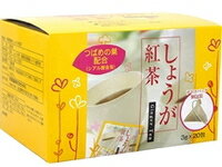 ΤοĤݥåݥο͵ʢ礦㡡3gX20