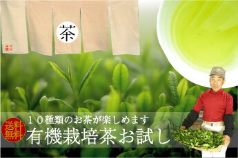 【送料無料】無農薬茶お試しセット10種のお茶のお味見！農林水産大臣賞受賞茶園長崎県産