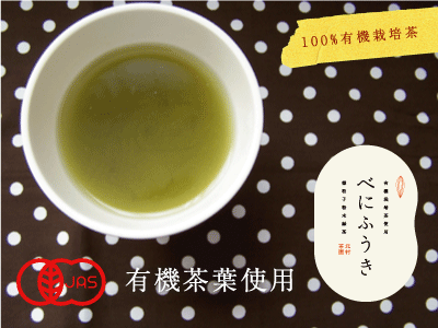 お試し用！べにふうき100％パウダースティック2包セット長崎県産・紅富貴粉末緑茶